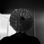 neilkryszak profile picture