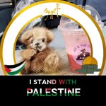 nelbassiouny profile picture