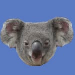 nemui.tono_kolaaa profile picture