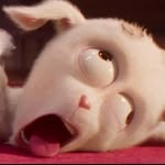 nenz_sillah profile picture