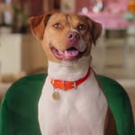 neonthemutt profile picture