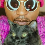 netflixcatpeople profile picture