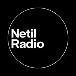 netilradio profile picture