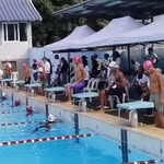 netswim2011 profile picture