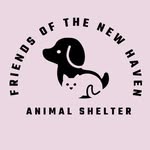 newhavenanimalshelter profile picture