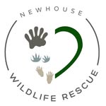 newhousewildliferescue profile picture