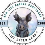 newlifeanimalsanctuary profile picture