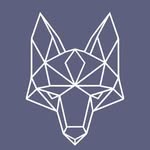 newmafia__ve profile picture