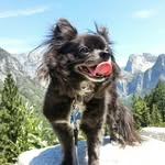 newtonsadventure profile picture