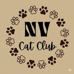 new_vision_cat_club profile picture