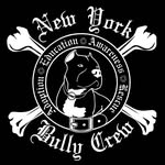 newyorkbullycrew profile picture