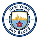 newyorkskyblues profile picture