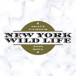 newyorkwild.life profile picture