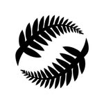 newzealandfootball profile picture