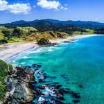 newzealand_vacation profile picture