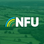 nfulife profile picture