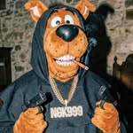 ngk999 profile picture