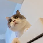nhaha0716 profile picture