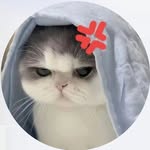 ni_ru47 profile picture