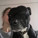 niamhquin profile picture