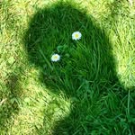 nic.dellaquila profile picture