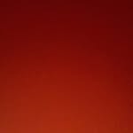 nicetomeetco profile picture