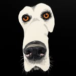nicholasalexanderchavez profile picture