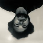 nick.sligh profile picture