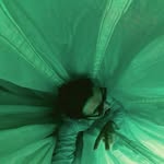 nickraymccann profile picture