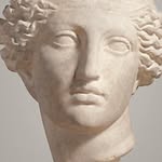 nicktpoe profile picture