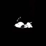 nicky__ackerman profile picture