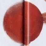 nicolaskern profile picture