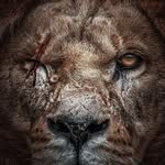 nicolas_williams9