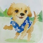nicomint profile picture