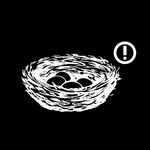 nidonidomx profile picture