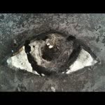 nightgallery profile picture