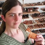 nightlioness_collections profile picture
