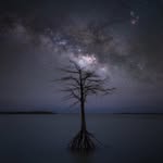 nights_dreamworld profile picture