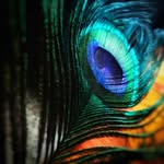 nihal_4u2c profile picture