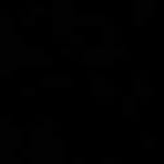 nika_castano profile picture