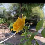 nikamvishal1845 profile picture