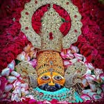 nikhil_jaat890 profile picture