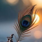 nikhleshchaurasiya profile picture