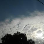 nikitaarora780 profile picture
