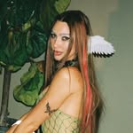 nikkibot profile picture