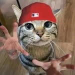 niko.abaishvili profile picture