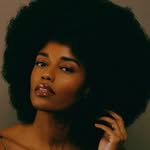 niks.nyc profile picture