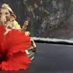 nilesh.deshpande.5686 profile picture