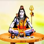 nimeshsanatani profile picture