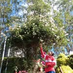 nimisha_p_suresh profile picture